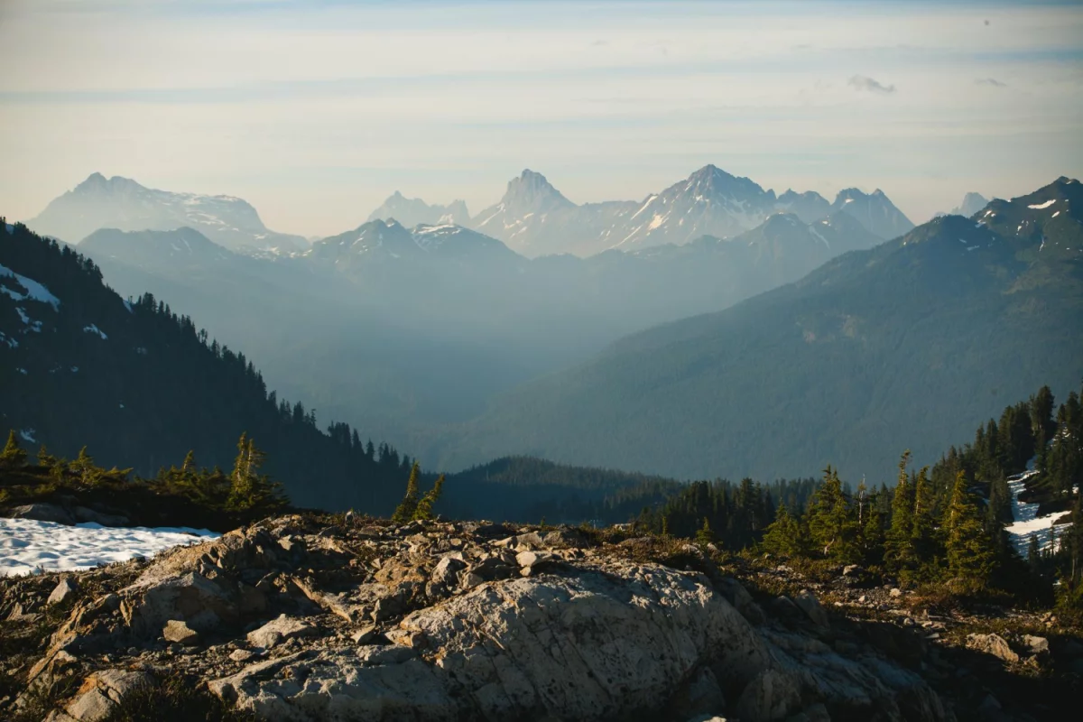 7 Prostych Metod Aby wypożyczyć meble